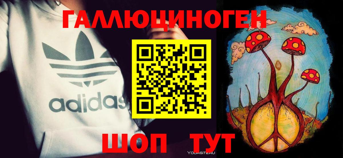 Псилоцибиновые грибы мухоморы Гудермес